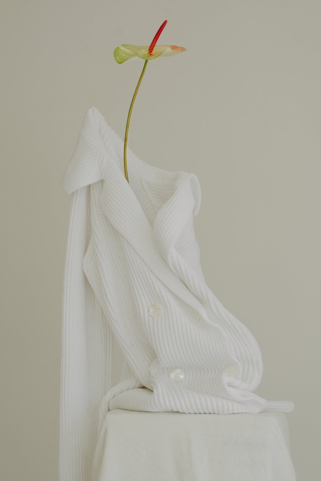 Cotton "Bar" Jacket