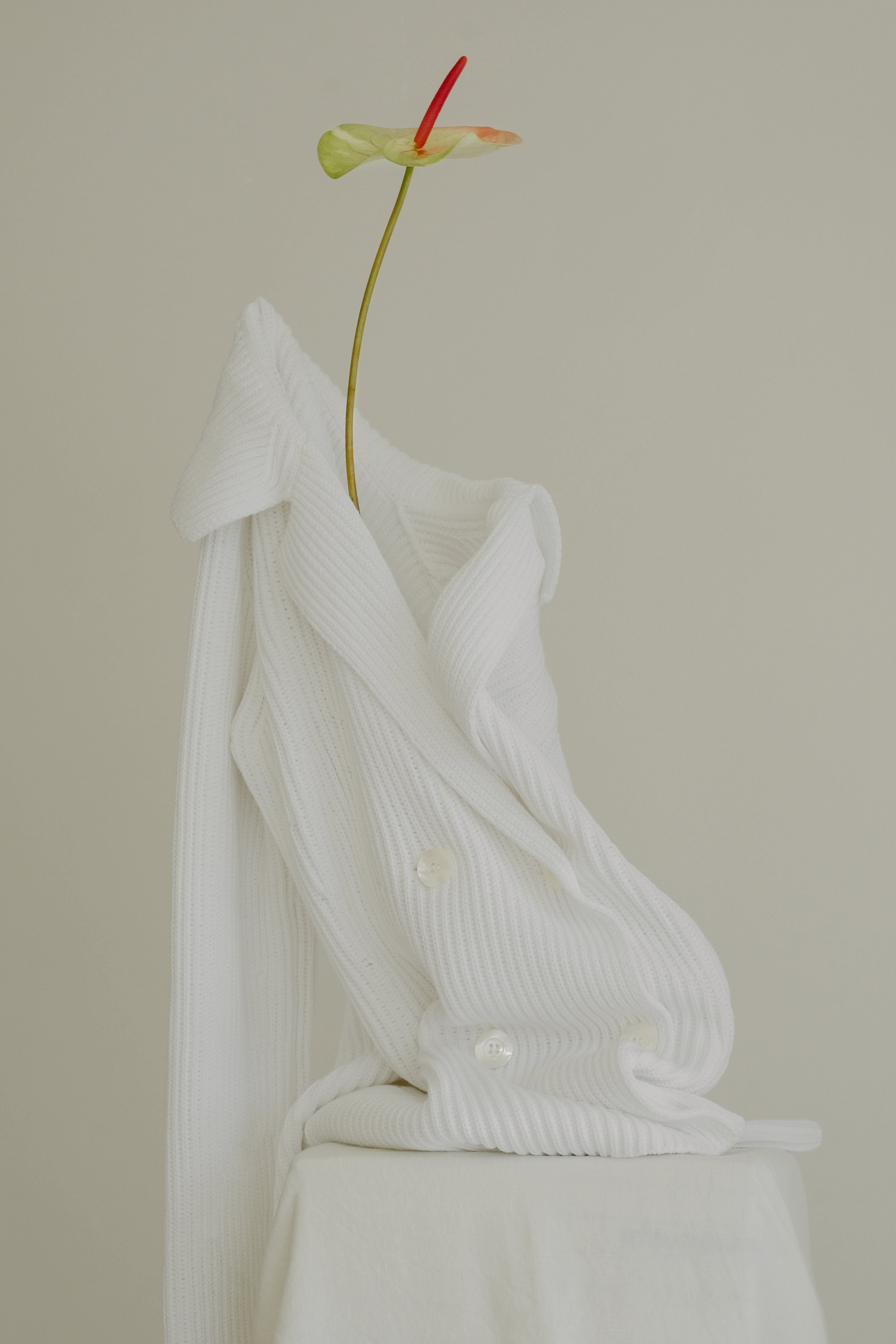 Cotton "Bar" Jacket