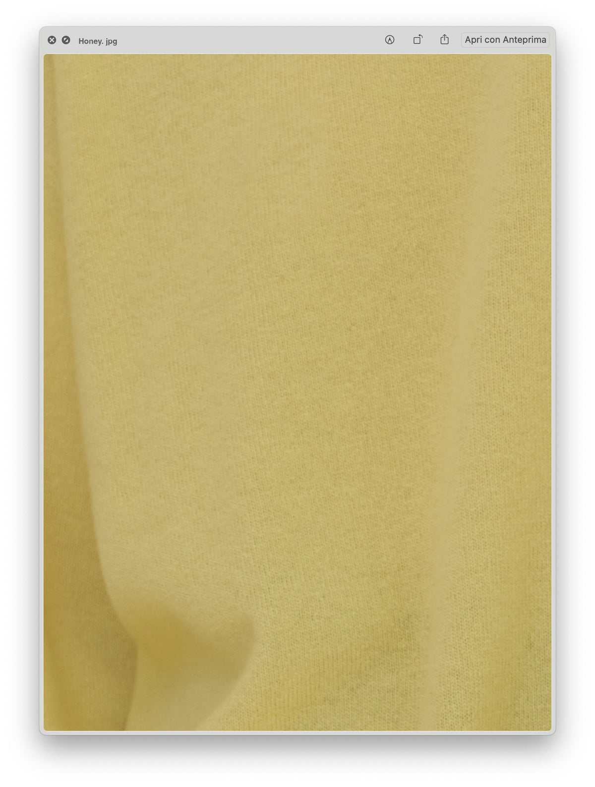 Cardigan Aperto in Lana e Cashmere con Maniche Lunghe